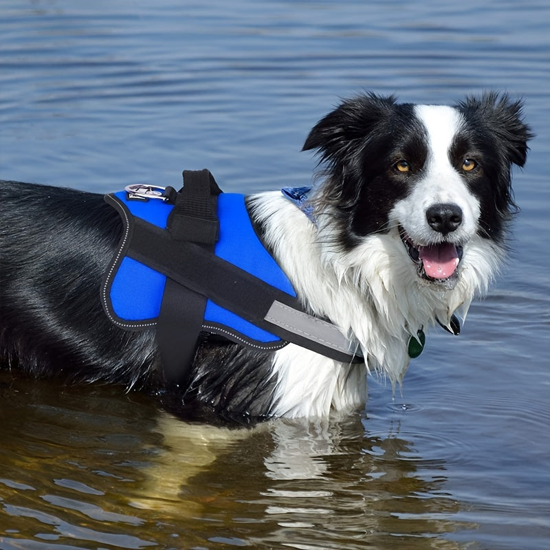 Reflective No-Pull Dog