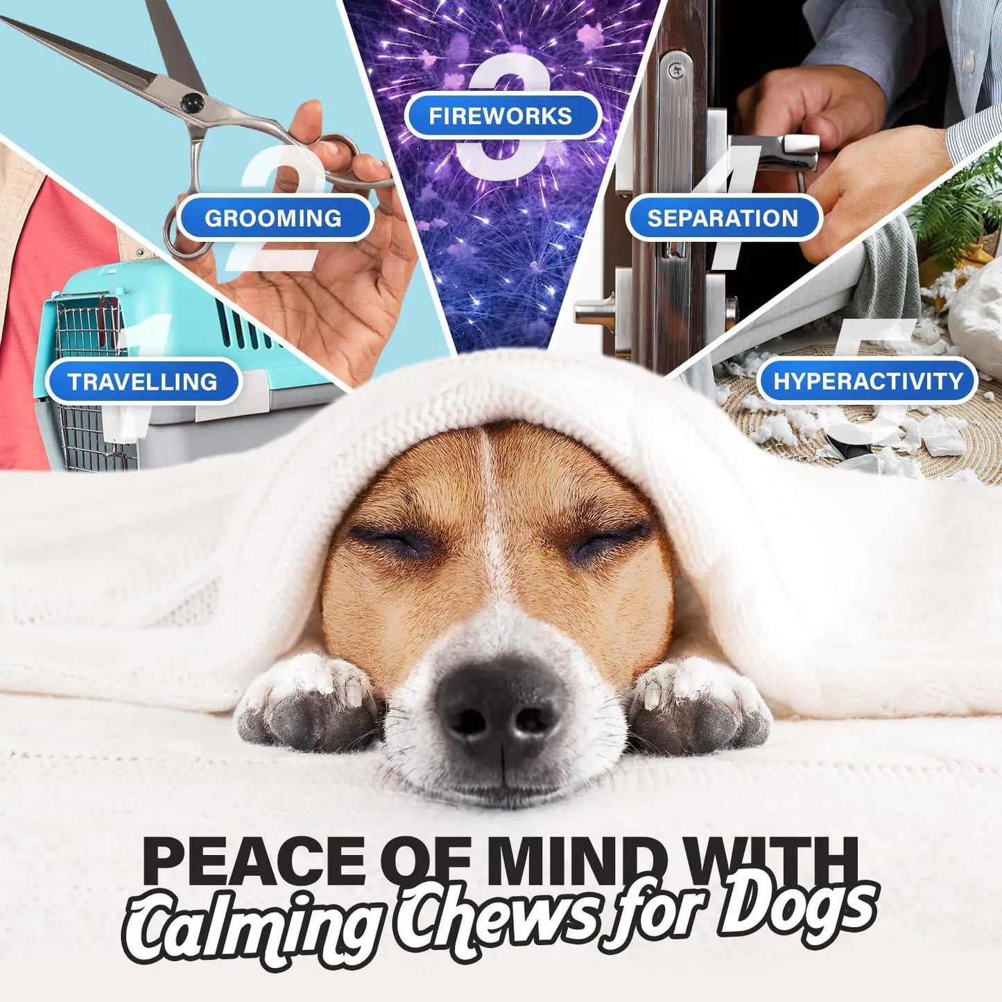 Calming Chews for Dogs