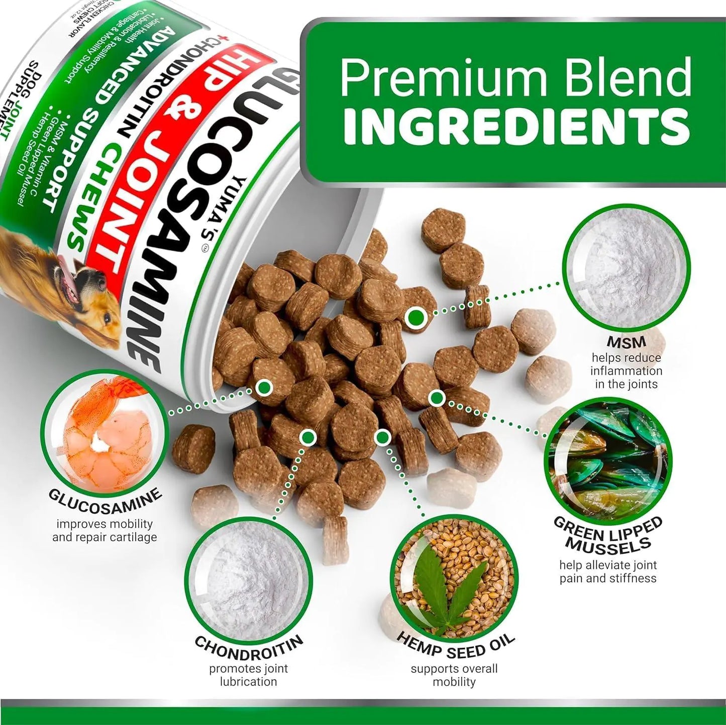 2 Pack Glucosamine for Dogs