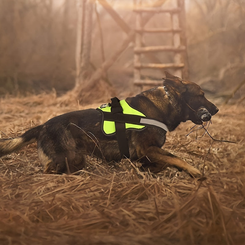 Reflective No-Pull Dog