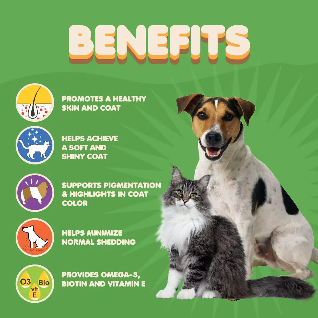 Skin and Coat Supplement for Dogs and Cats