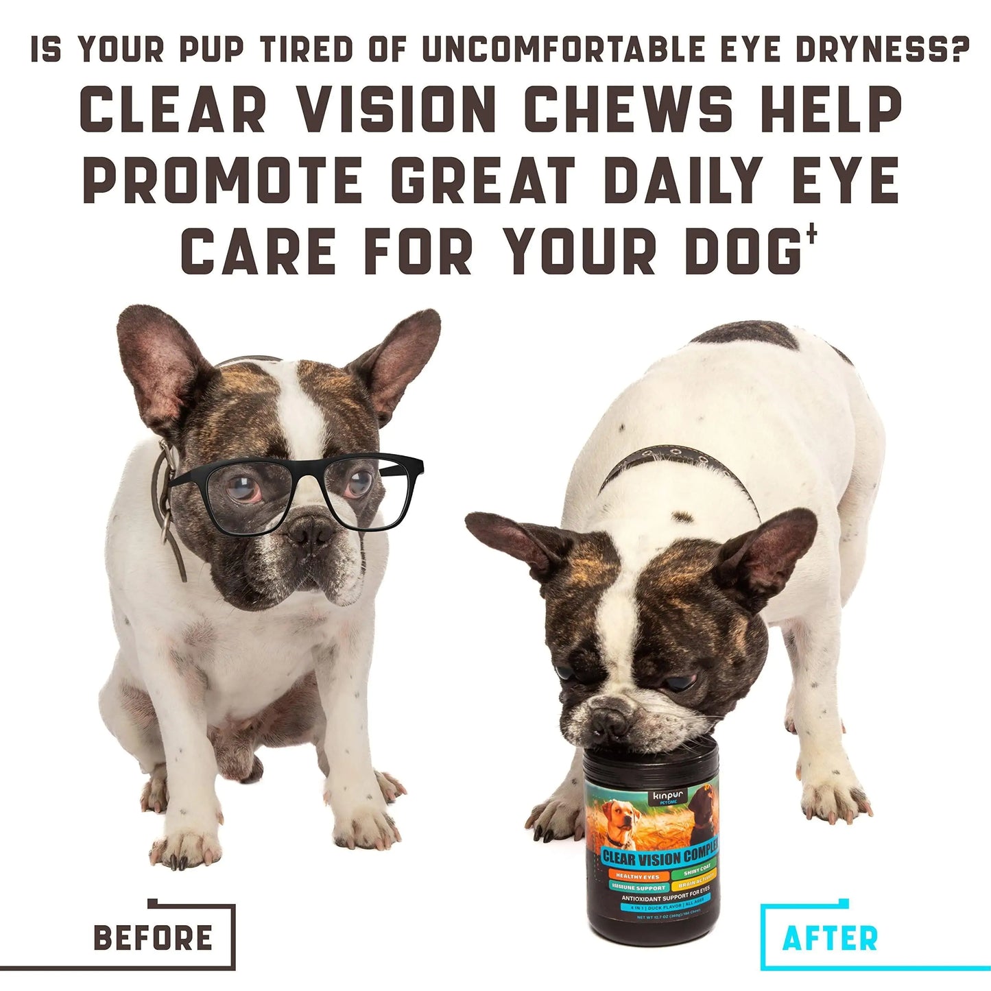 Eye Vitamins for Dogs
