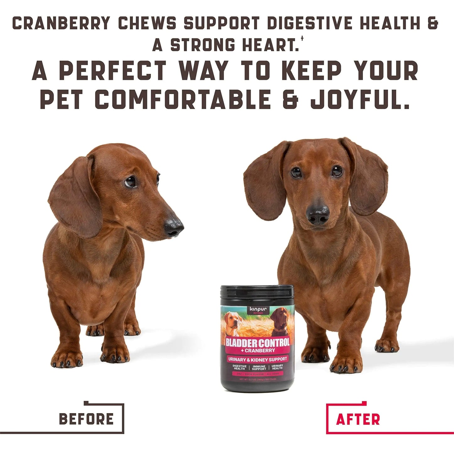 Cranberry Chews Dog Supplement for Urinary Tract