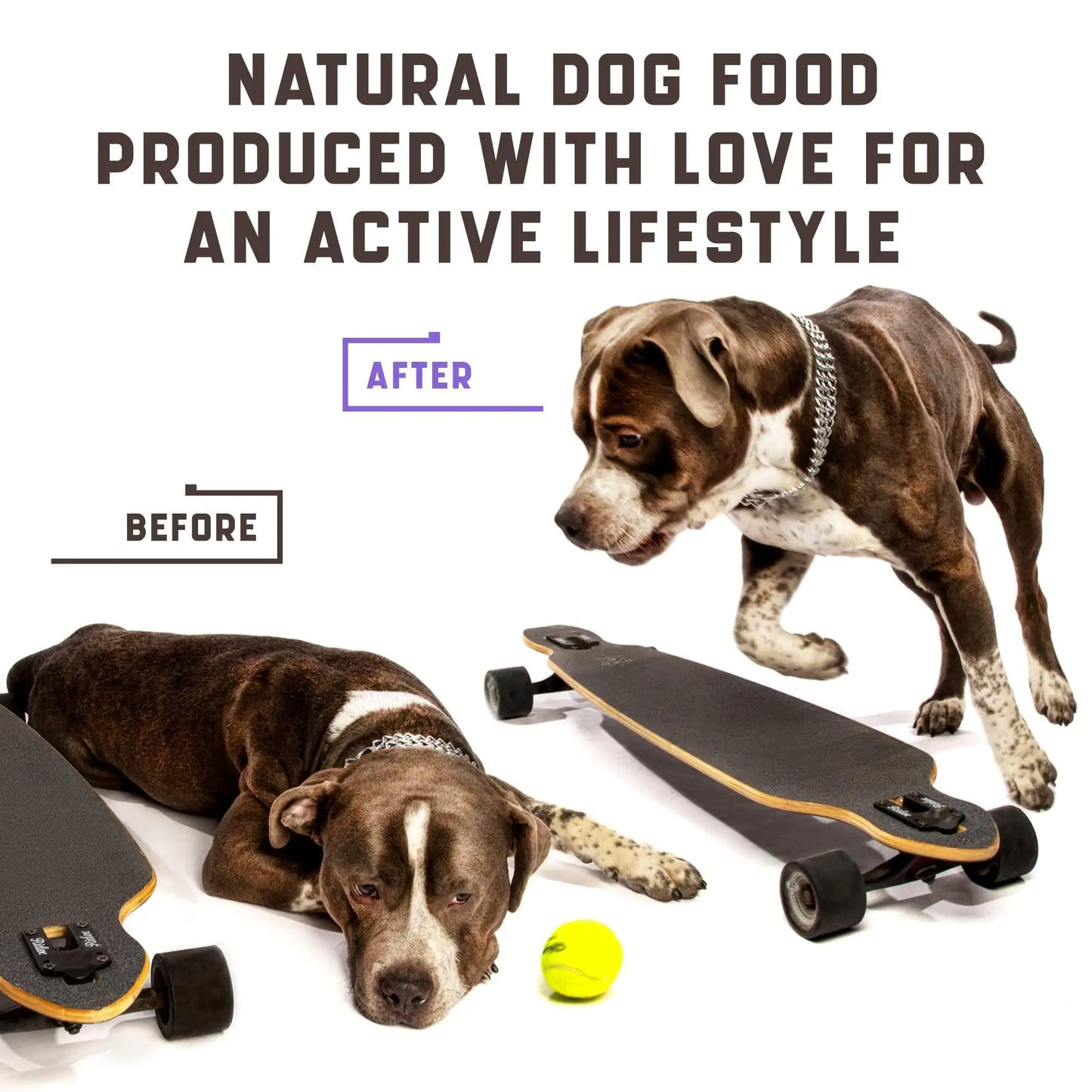 Functional Dog Joint Supplement