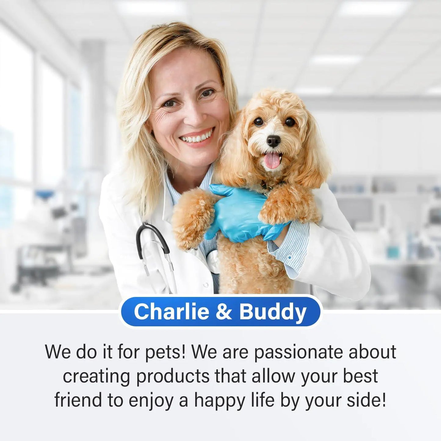 Calming Chews for Dogs