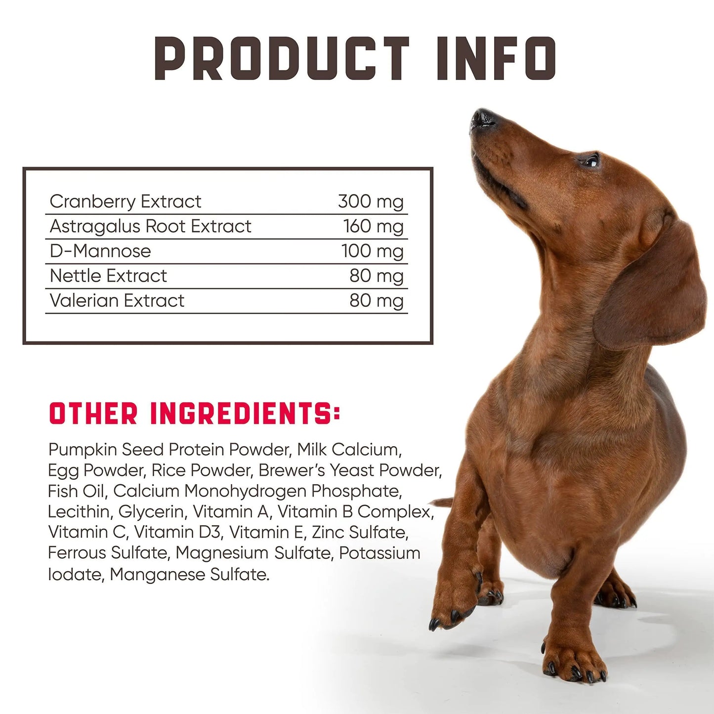 Cranberry Chews Dog Supplement for Urinary Tract