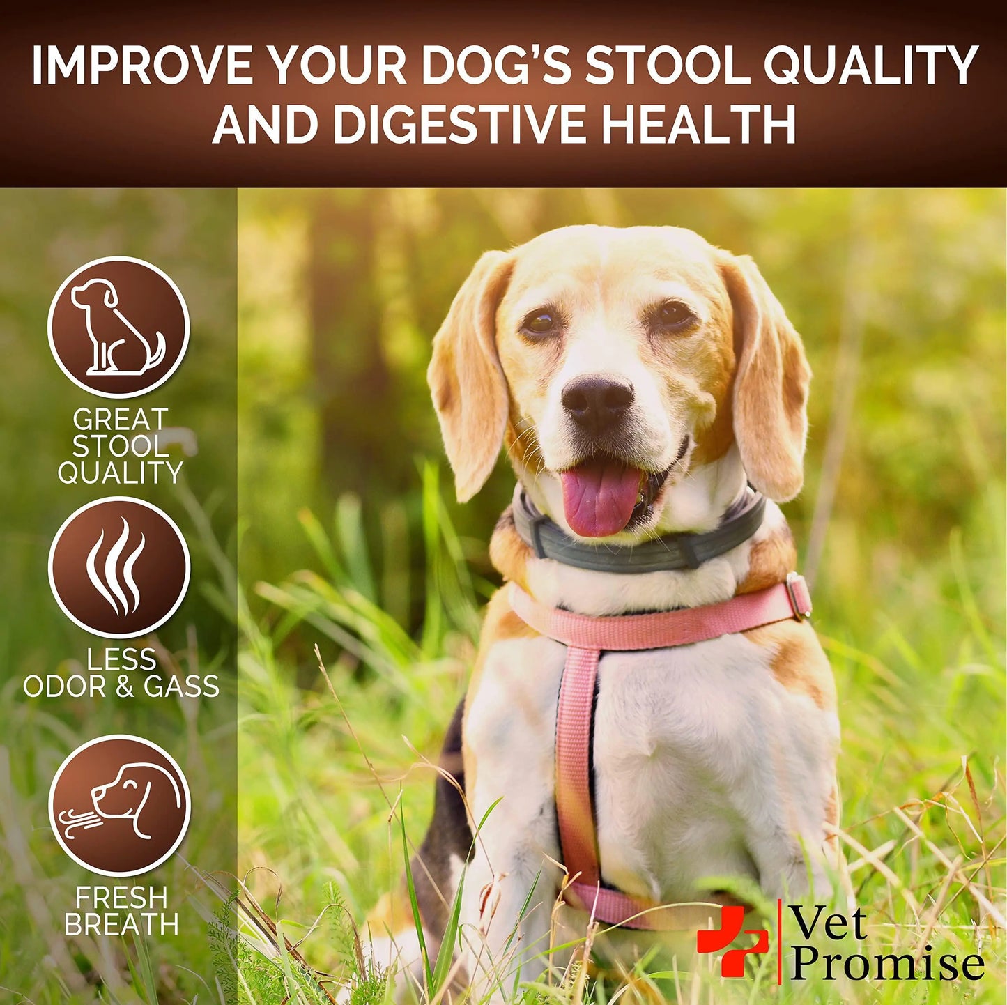 Poop Probiotics for Dogs