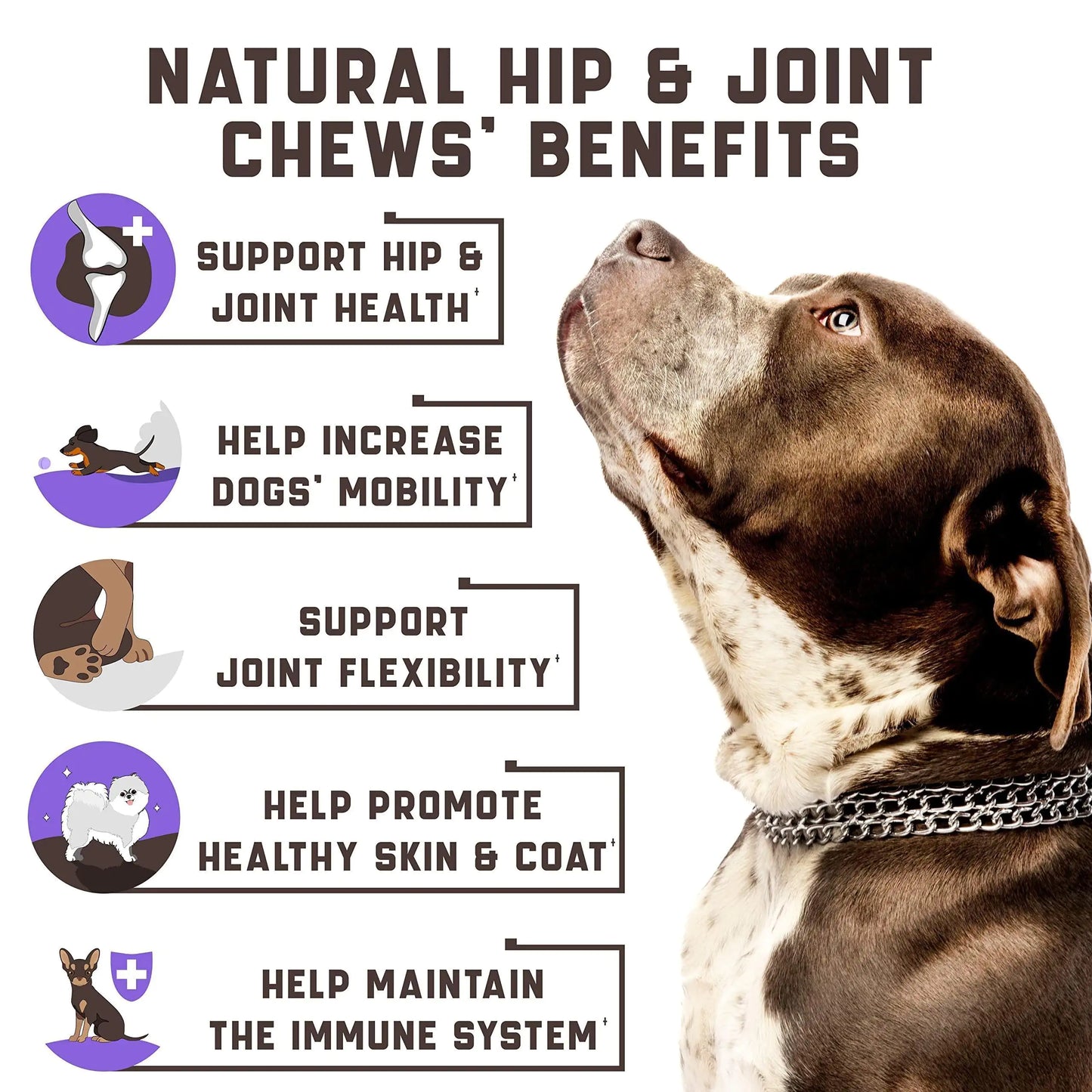 Functional Dog Joint Supplement